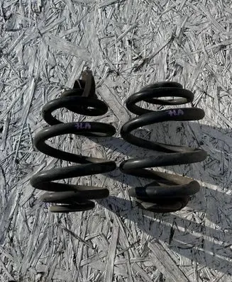Rear coil spring