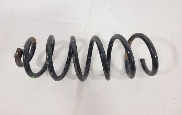 Rear coil spring