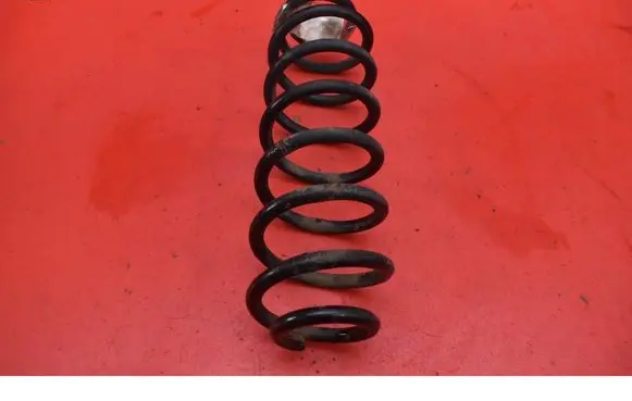 Volkswagen PASSAT B6 Rear coil spring 