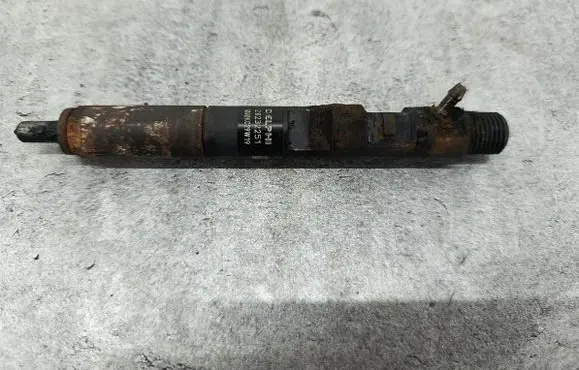 Renault Clio III Fuel injector
