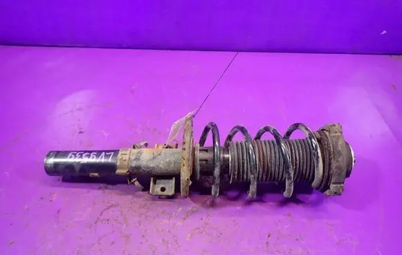 Seat Ibiza III (6L) Front shock absorber with coil spring