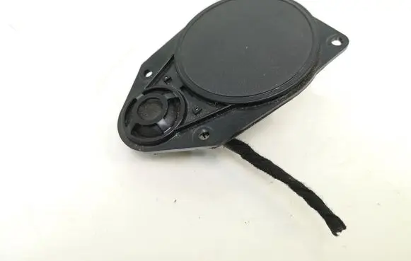 Panel speaker
