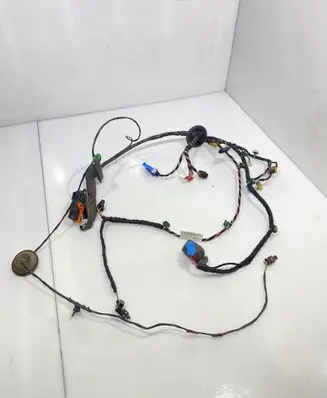Front door wiring loom