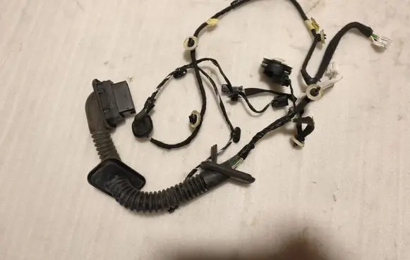 Dacia Sandero III Front door wiring loom 241254332R