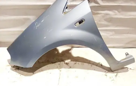 Fiat Punto (188) Fender Zydra