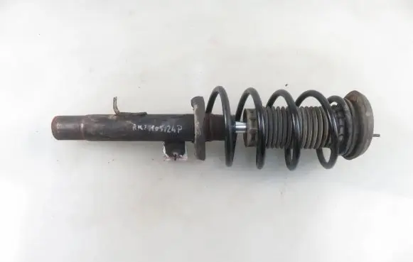 Peugeot 1007 Front shock absorber with coil spring M61JR5340
