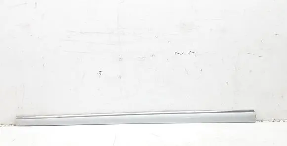 Mercedes-Benz S W220 Front door trim (molding) A2206900562