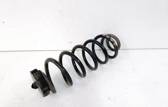 Audi Q5 SQ5 Rear coil spring
