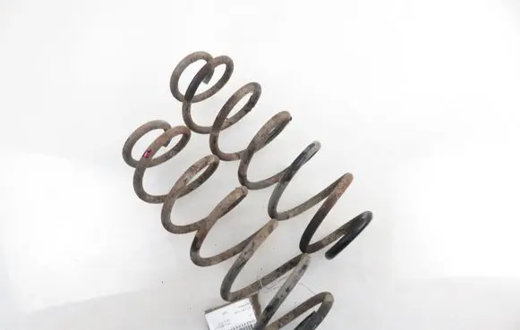 Volkswagen New Beetle Rear coil spring 