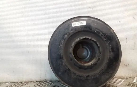 Nissan Juke I F15 Crankshaft pulley 8200699517