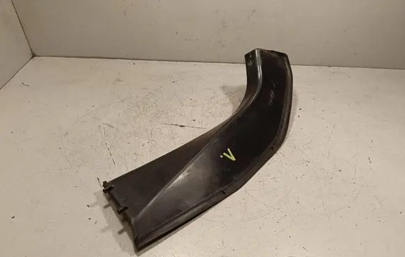 Rear/tail light trim molding
