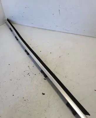 BMW 5 E39 Front door glass trim molding 8185816