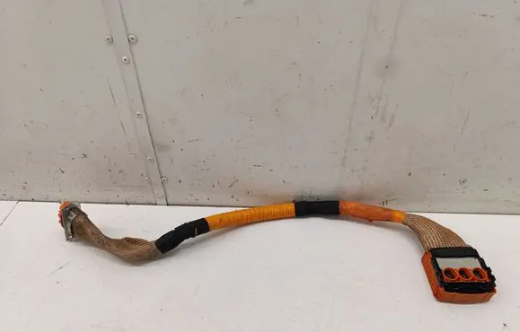 Renault Arkana Other wiring loom 33272670
