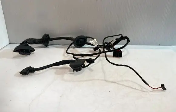 Front door wiring loom