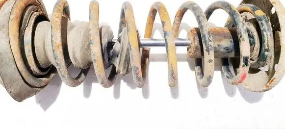 Rear coil spring