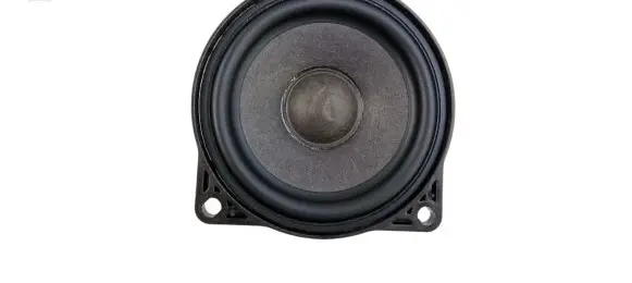 Tesla Model 3 Panel speaker 107974200 107974200A 434107869361