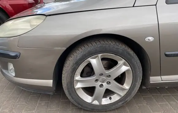 Peugeot 407 Fender