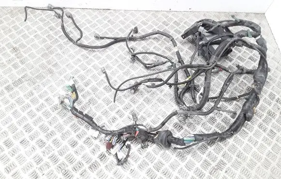 Engine installation wiring loom