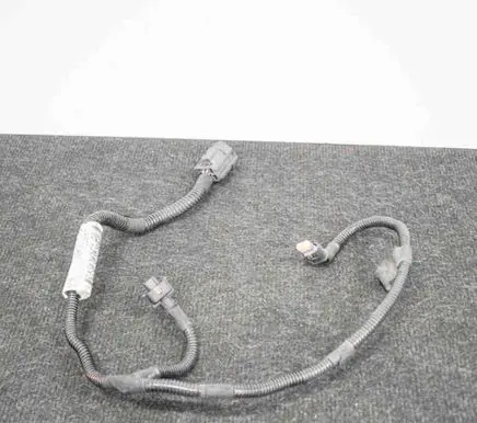 Other wiring loom
