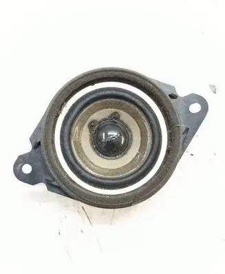 Rear door speaker