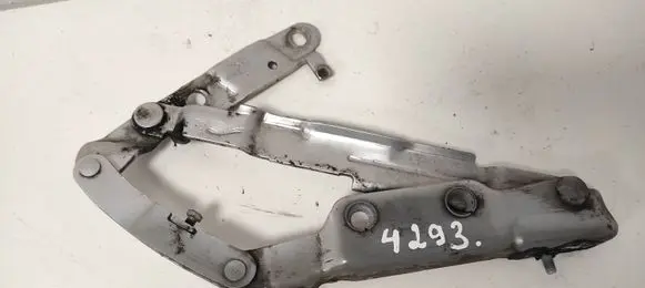 Volkswagen New Beetle Tailgate/trunk/boot hinge 1C0827301D