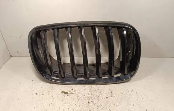 BMW X6 E71 Front grill 51137171396