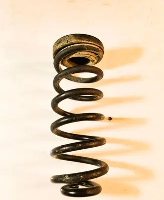Hyundai Tucson TL Rear coil spring 55350F1CB0