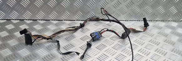 Peugeot 207 CC Other wiring loom N106029X