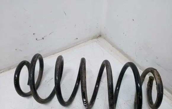 Rear coil spring