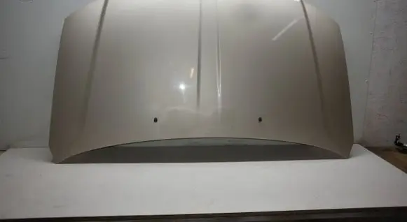 Engine bonnet/hood