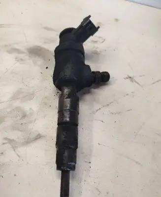 Citroen C3 Fuel injector