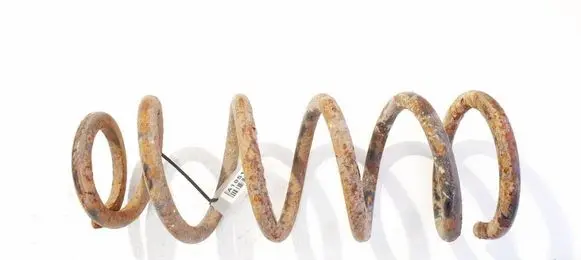 Rear coil spring