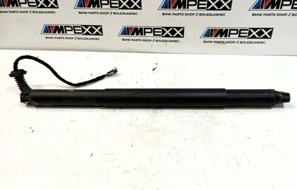 BMW X6 F16 Tailgate strut 7318651