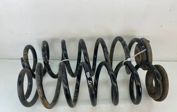 Rear coil spring