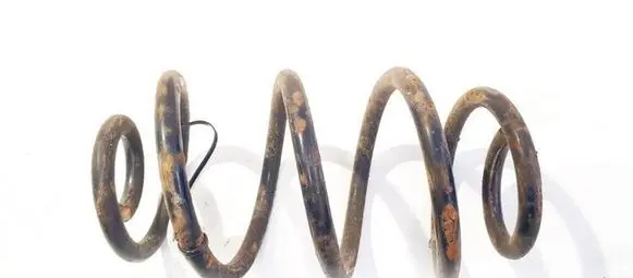 Rear coil spring