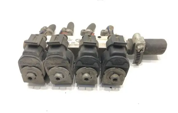 Volkswagen Bora LP gas injector ACW01-4