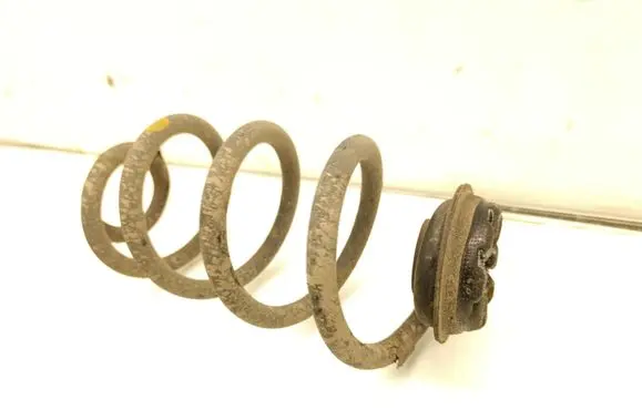 Rear coil spring