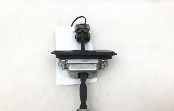 Nissan Qashqai Front door check strap stopper 