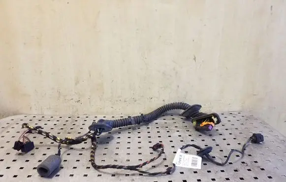 Volkswagen Touareg II Front door wiring loom 7P6971162H