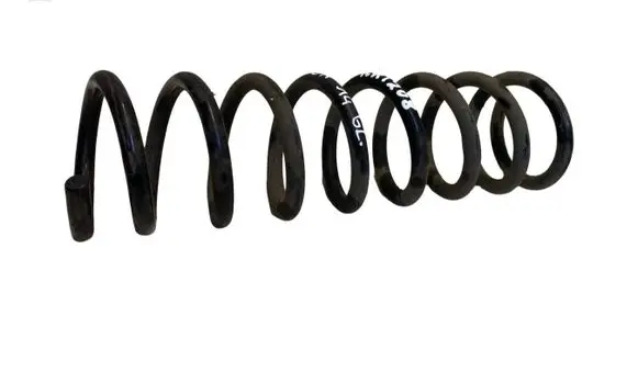 Ford Kuga II Rear coil spring 