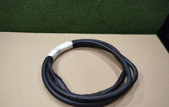 Renault Koleos II Front door rubber seal HSH4HZSB