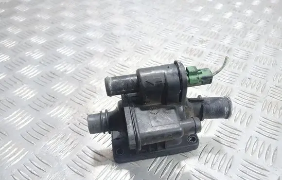Thermostat/thermostat housing