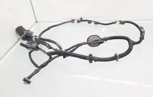 Front door wiring loom