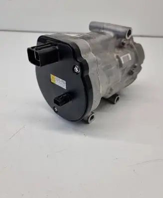 Toyota RAV 4 (XA50) Air conditioning (A/C) compressor (pump) 0424001101