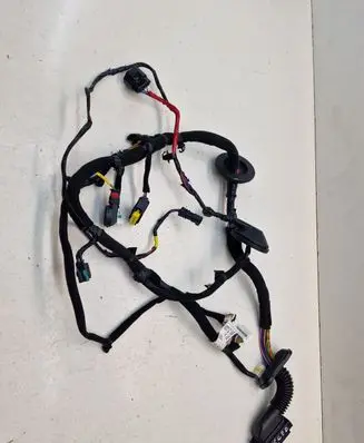 Front door wiring loom