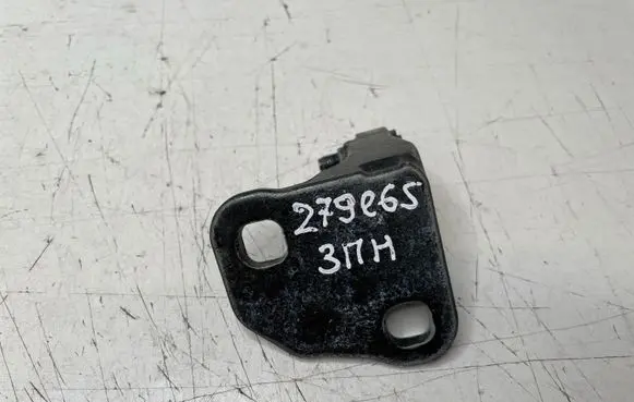 BMW 7 E65 E66 Rear door lower hinge 7017818