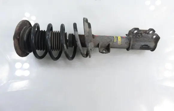 Opel Vectra C Front shock absorber with coil spring G8009P