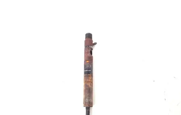 Renault Kangoo II Fuel injector 166001137R