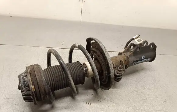 Opel Insignia B Front shock absorber with coil spring 