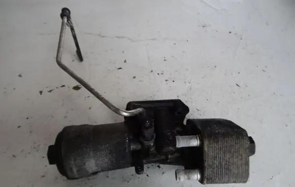 Volkswagen Golf V Engine oil radiator 038117021C